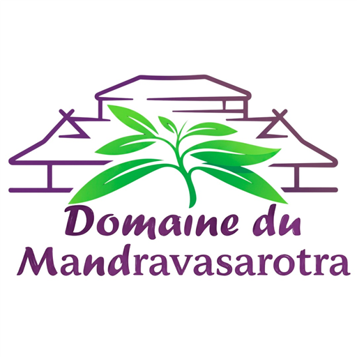 Assistance Logiciel Mayotte
