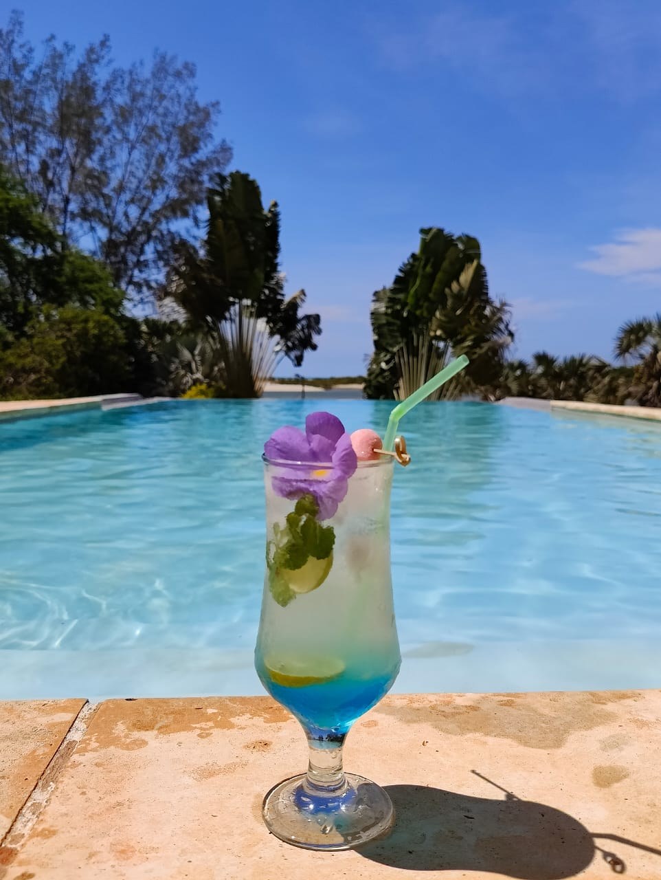 Bar et cocktails, Domaine du Mandravasarotra
